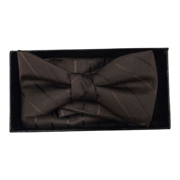 MEN'S LARR BRIO CHOCOLATE THIN STRIPE BOW TIE AND POCKET SQUARE. - Picture 2 of 2